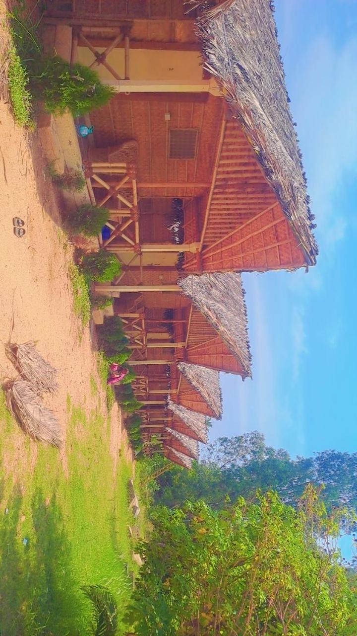 Lazy Panda Hotell Hampi Rum bild